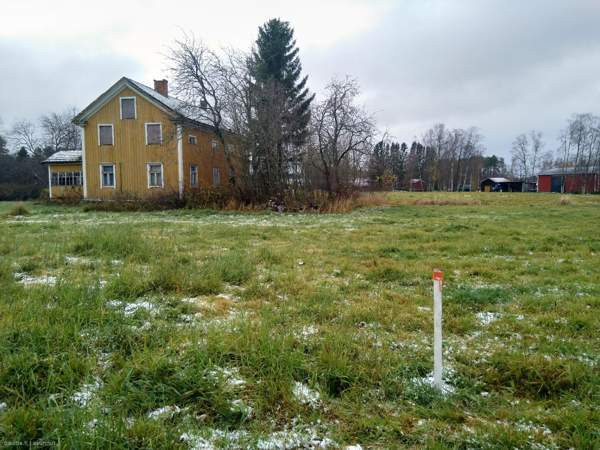 4h + avok  Kannus - valokuva 3