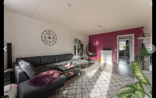 2h + p  Raasepori - valokuva 5