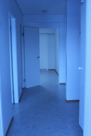 4h  Kemin - photo 6