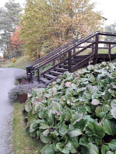 1h + pieni keittiö+wc/suihku  Viitasaari – foto 1