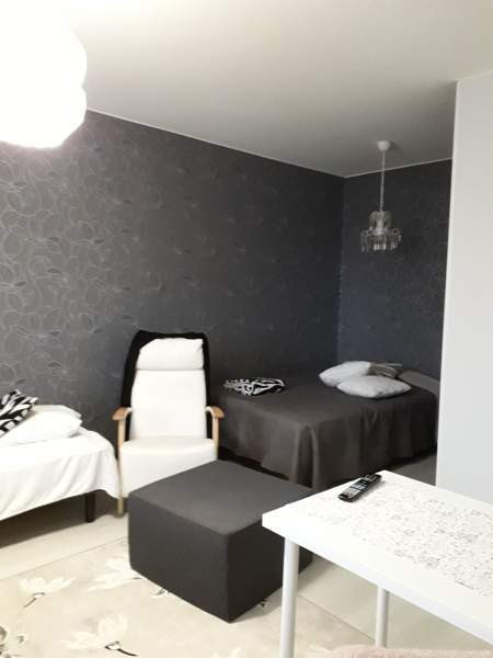 1h + pieni keittiö+wc/suihku  Viitasaari – foto 3