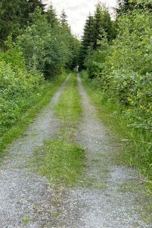 2h  Lapinlahti - photo 2