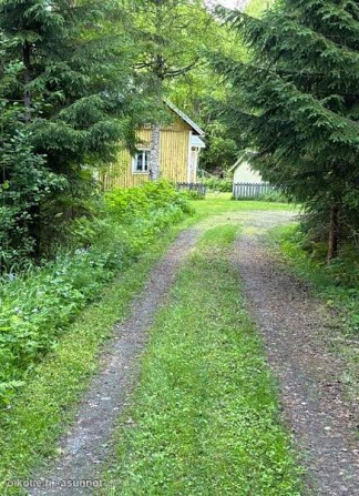 2h  Lapinlahti - photo 3