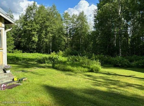 2h  Lapinlahti – foto 6