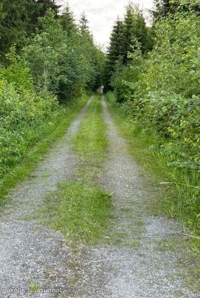 2h  Lapinlahti – foto 2