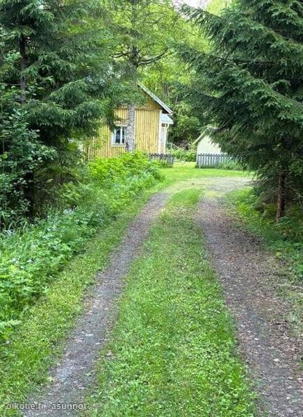 2h  Lapinlahti – foto 3