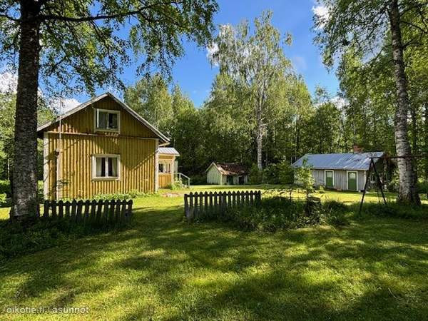 2h  Lapinlahti – foto 1