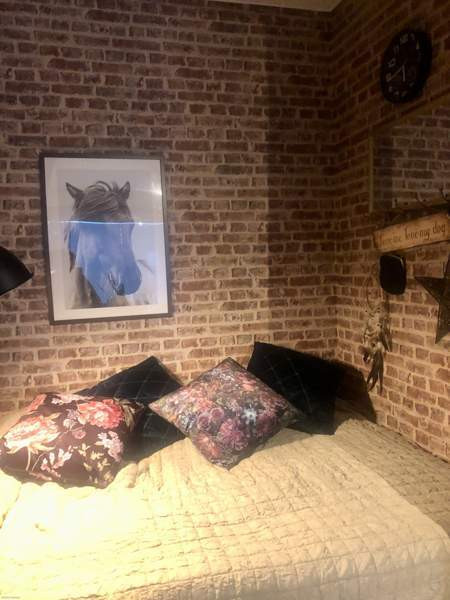 1h + k + p  Somero - valokuva 8