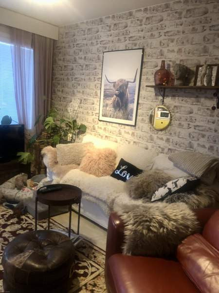 1h + k + p  Somero - valokuva 3