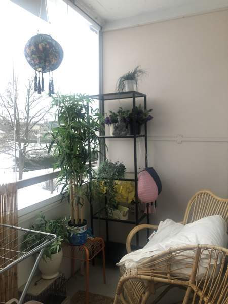 1h + k + p  Somero - valokuva 6