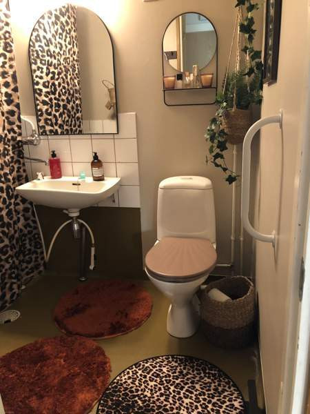 1h + k + p  Somero - valokuva 2