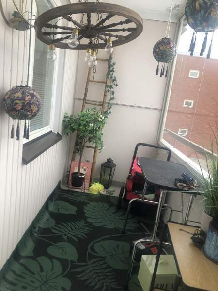 1h + k + p  Somero - valokuva 5