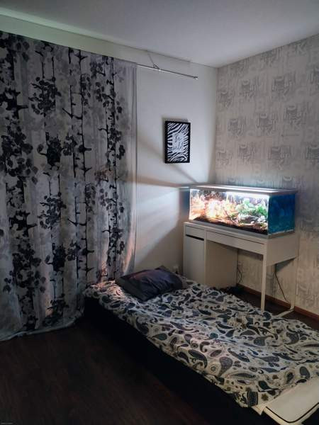 5h + s + khh+ 2wc  Pöytyä - valokuva 4