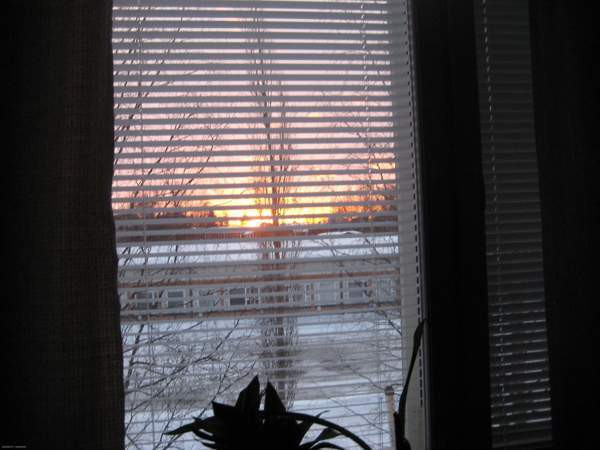 1h -kk-kylp-sauna-par  Lieksa - photo 1