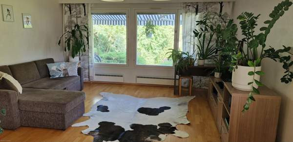 4h + k + s + ph + khh + vh + 2 wc  Muurame - valokuva 7