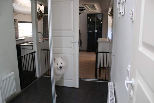 4h + avok + s + p  Lempaeaelae – foto 6