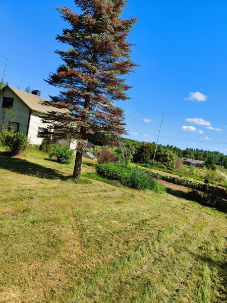 4h + k + s + p  Kannonkoski - photo 2