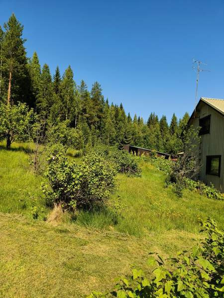 4h + k + s + p  Kannonkoski - photo 3