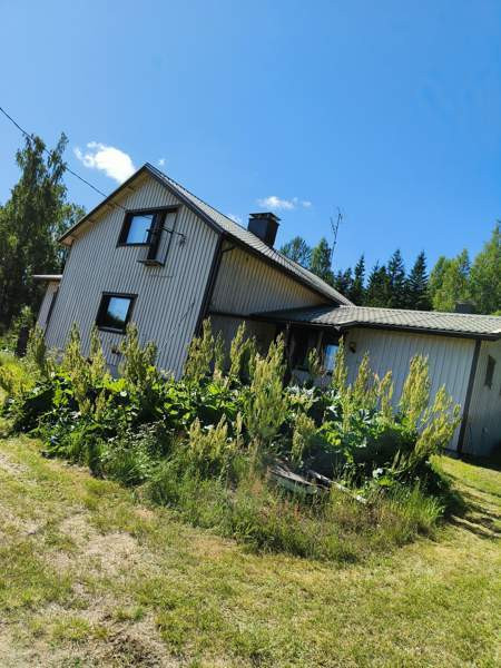 4h + k + s + p  Kannonkoski - photo 4