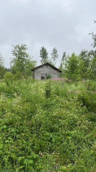 5h  Kivijärvi - photo 4