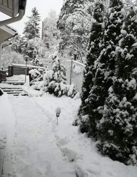 2h + avok + s + p  Helsinki - valokuva 4