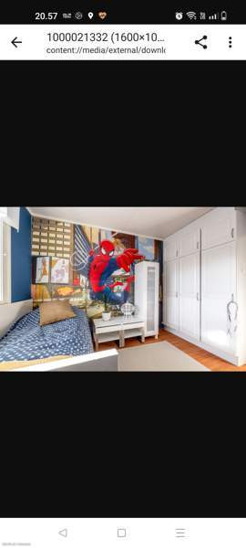 4h + k + s  Kemin - valokuva 4