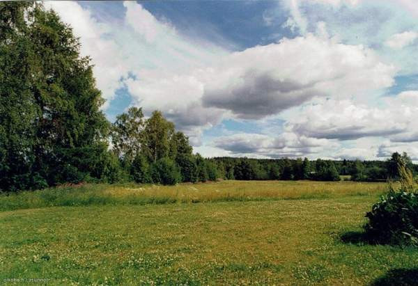 4 mh, oh, ruokailuhuone, k, aula, kph, 2 WC, iso k  Lieksa – foto 4