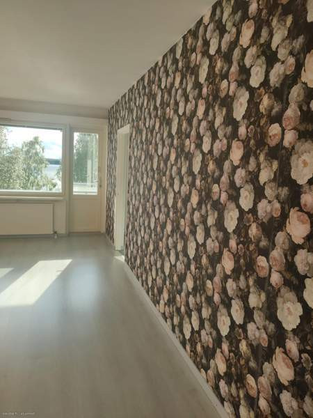 3h + k + p  Kemijärvi - valokuva 8