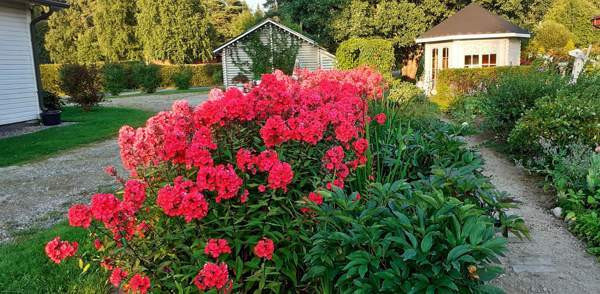 4h + k + s  Kivijärvi - photo 3