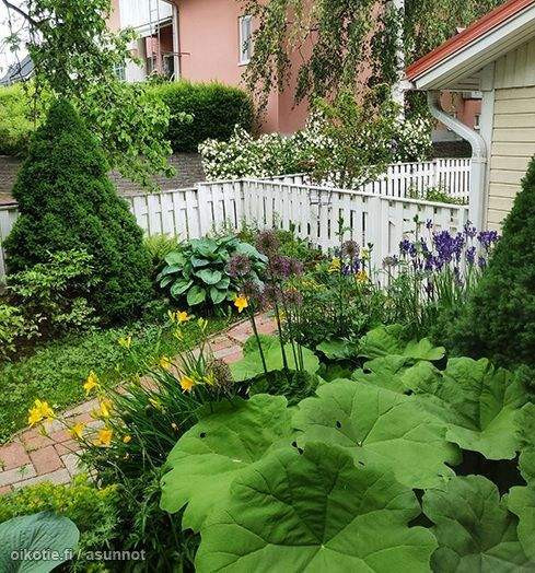 4h + avok+ sauna 2 WC, kodinhoitohuone, vaatehuone  Vantaa - photo 5