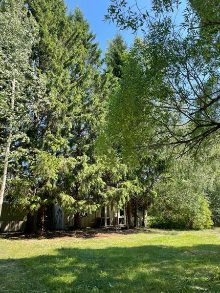 4h + k + s  Juuka – foto 3