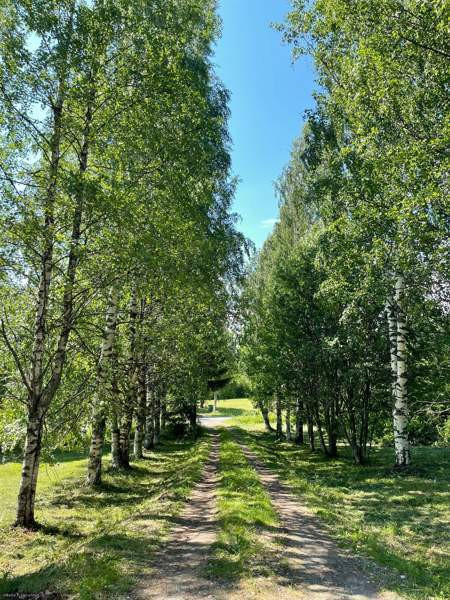 4h + k + s  Juuka – foto 6