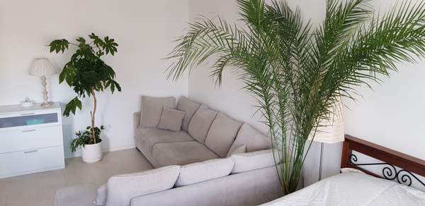 1h  Lappeenranta - photo 6