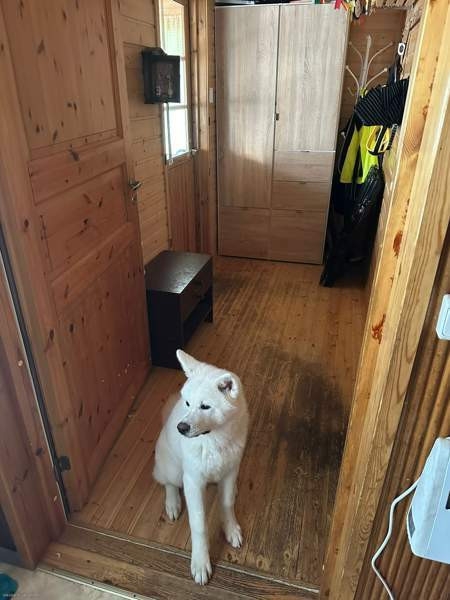 5h + s  Sonkajärvi - valokuva 5