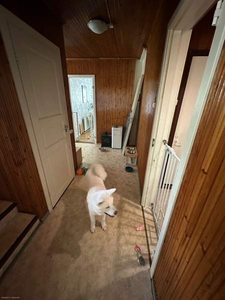 5h + s  Sonkajärvi - valokuva 6