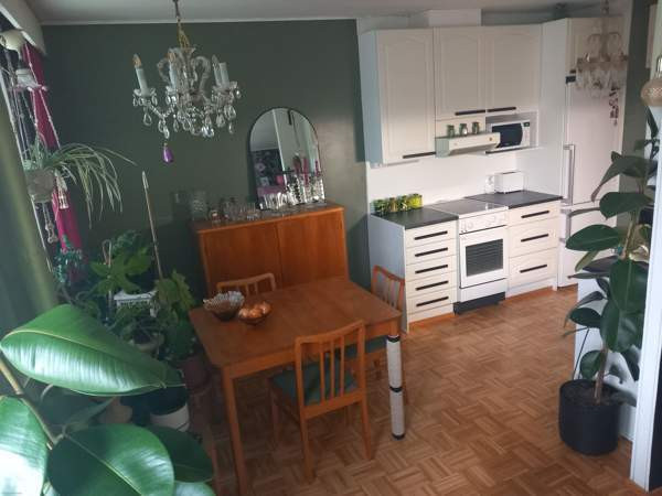 4h + k + s  Yloejaervi - photo 1