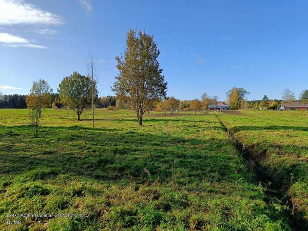 3h + k  Chukotskiy Avtonomnyy Okrug - valokuva 5