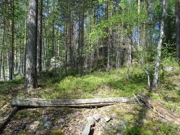 1h  Ruokolahti - photo 2