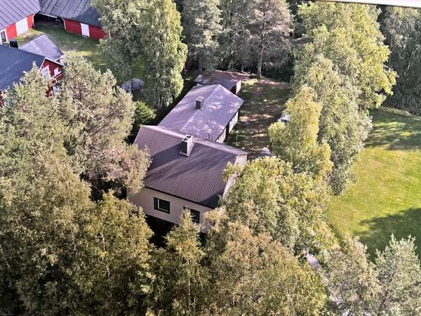 6h + k + s  Kurikka - valokuva 1