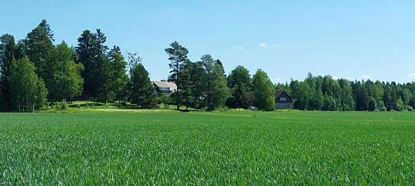 5h + s + p  Glebychevo - photo 8