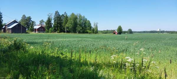 5h + s + p  Glebychevo - photo 4