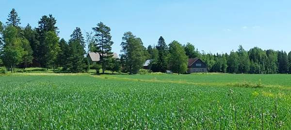 5h + s + p  Glebychevo - photo 7