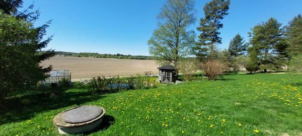 5h + s + p  Glebychevo - photo 3