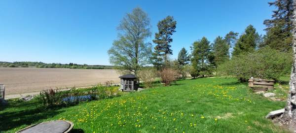 5h + s + p  Glebychevo - photo 2