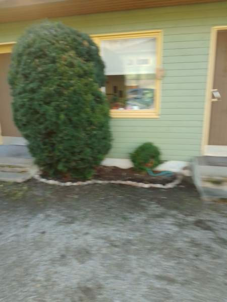 3h + s + p  Sarov - photo 5