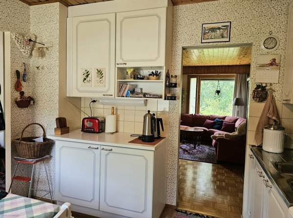 2h + k + s  Orivesi - valokuva 6