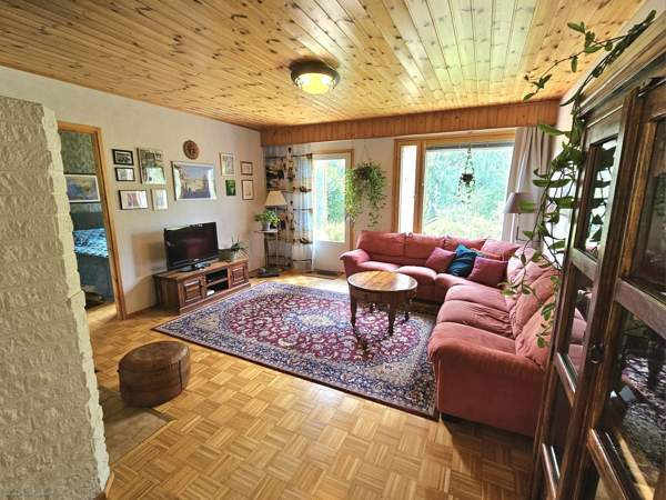 2h + k + s  Orivesi - valokuva 8