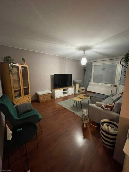 2h + k + p  Rovaniemi - valokuva 2