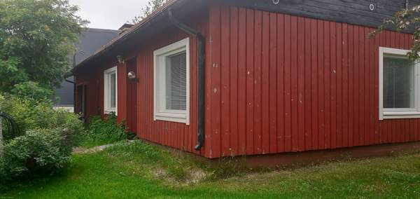 4h + k + s  Kemin - valokuva 7