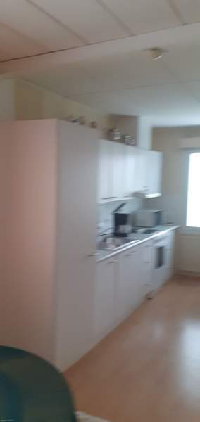 4h + k + s  Kemin - photo 4